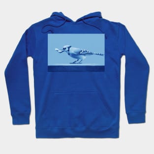 Blue Jay Hoodie